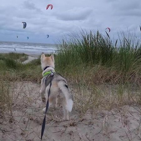 Surfin Βίλα Koksijde Εξωτερικό φωτογραφία